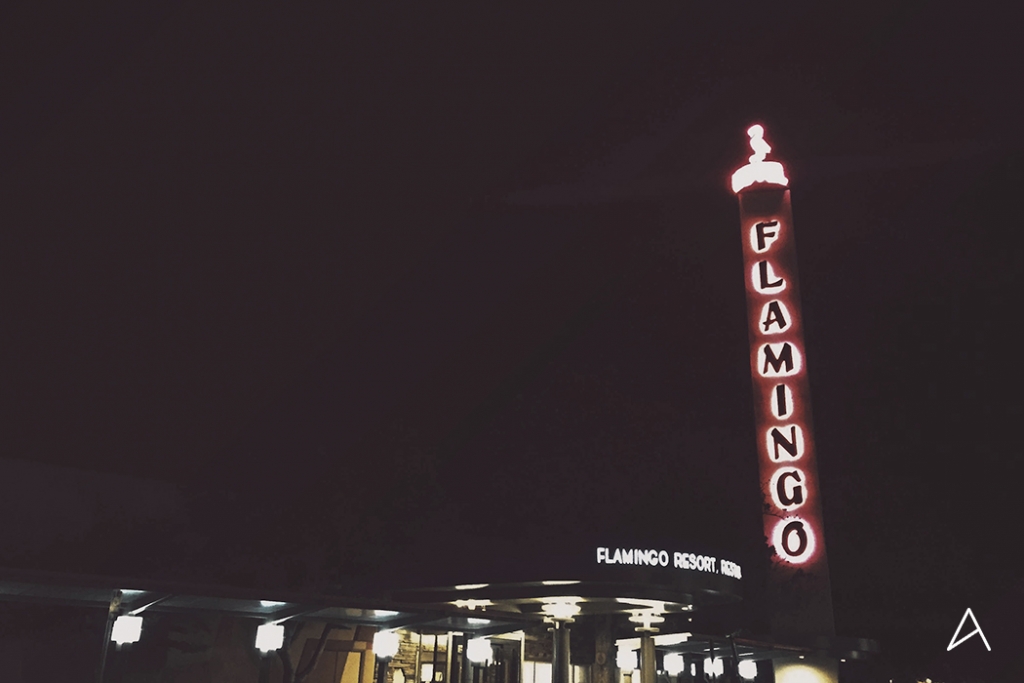 Flamingo_Hotel_Santa_Rosa_14