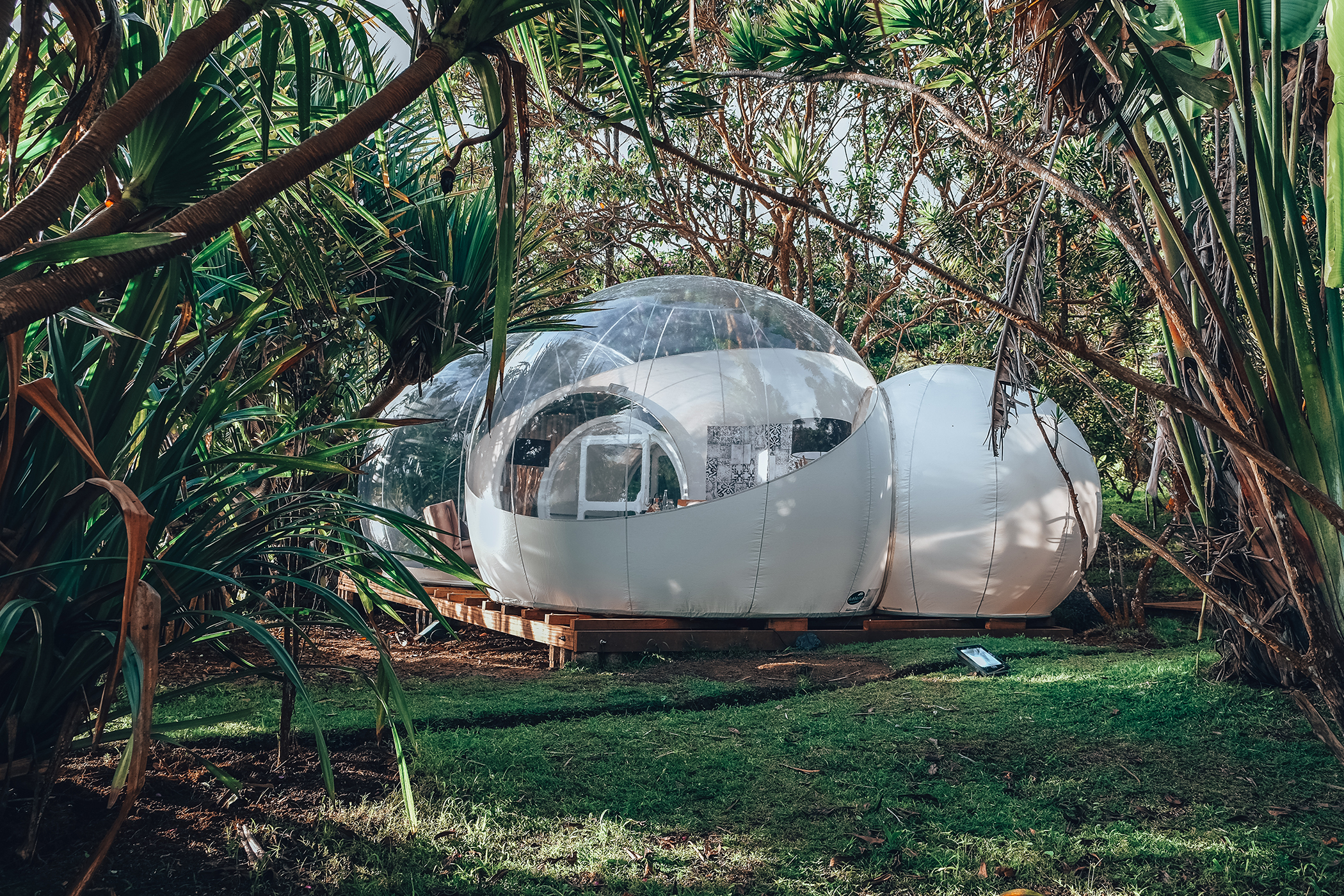 Bubble Lodge   le Maurice  dormir dans les plantations th   Awwway